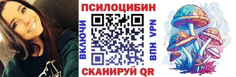 Псилоцибиновые грибы Psilocybine cubensis Урень